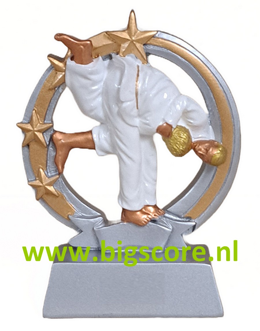 Judo JU-09 Resin LAATSTE 2 OP=OP!!